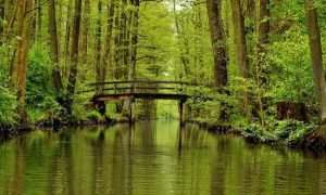 spreewald